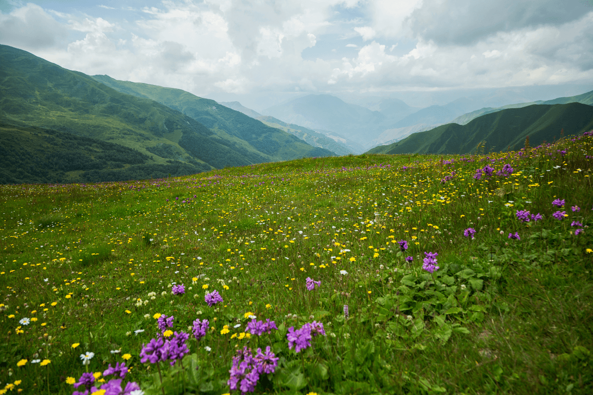 14 Tage Rundwanderung Georgien Start Wanderung nach Mestia